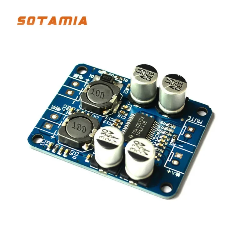 SOTAMIA 파워 앰프 오디오 보드 앰프, PBTL 모노 디지털 사운드 앰프, 홈 시어터 DIY, 60W, TPA3118