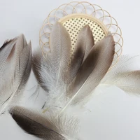 50PCS Natural Barred Mallard Duck Flank Feathers Wings Tails Streamers 1