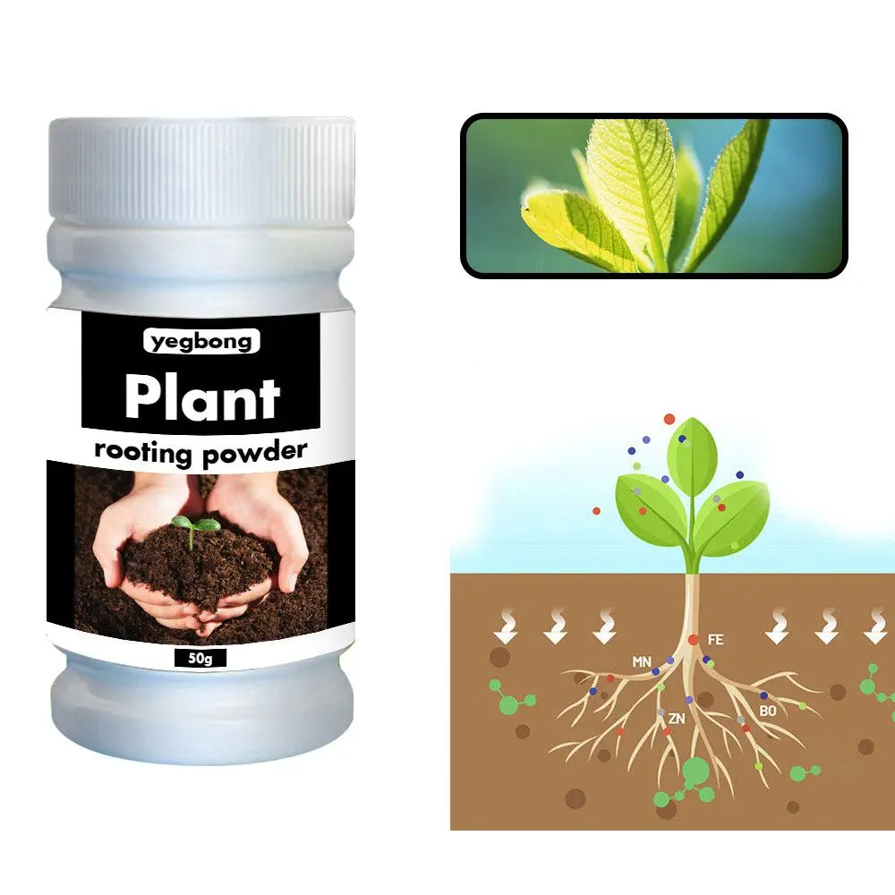 Slide image c697baaf0f3945e1afa3c15d60b53624