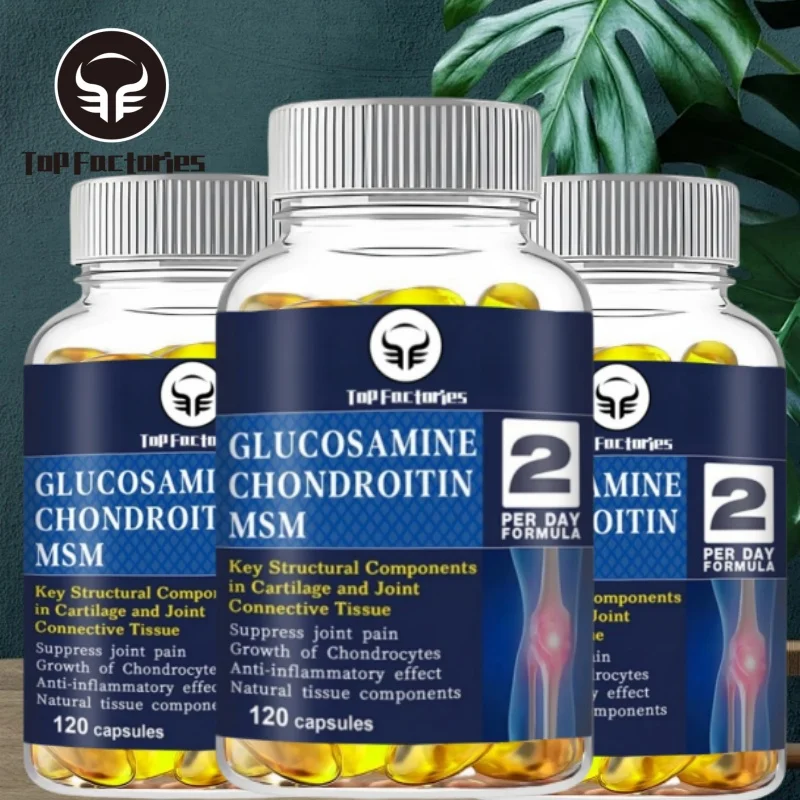 Glucosamine Chondroitin MSM 120 Capsules for Joint and Knee Health Immune System Non GMO Gluten Free Glucosamine Chondroitin Supplement
