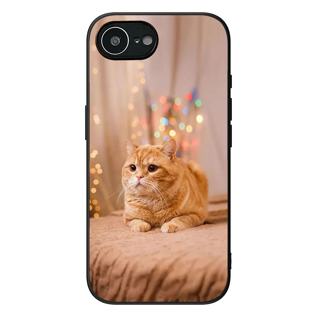 Kitten Cat Design Phone Case Cover