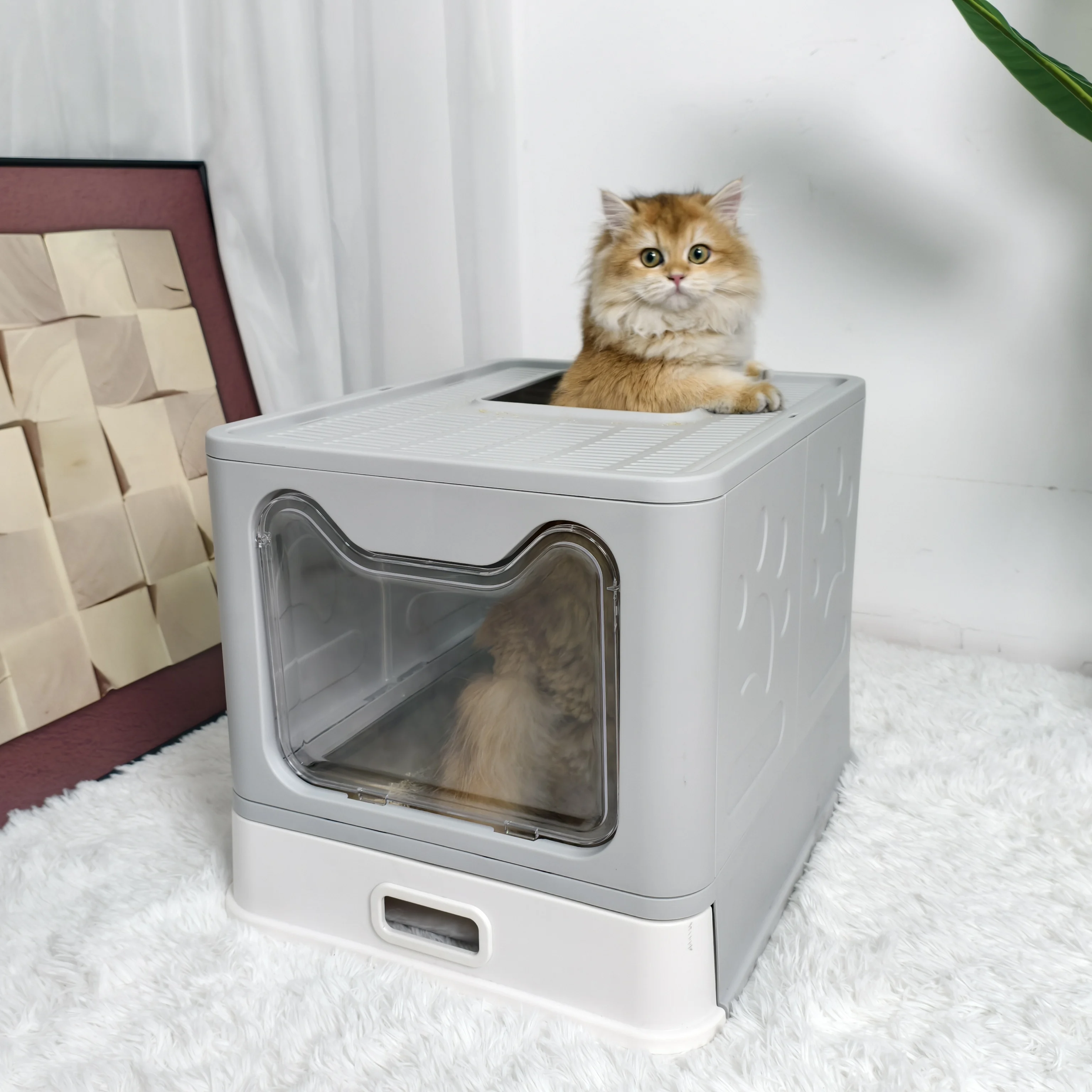 Cat Litter Box Front Entry 2