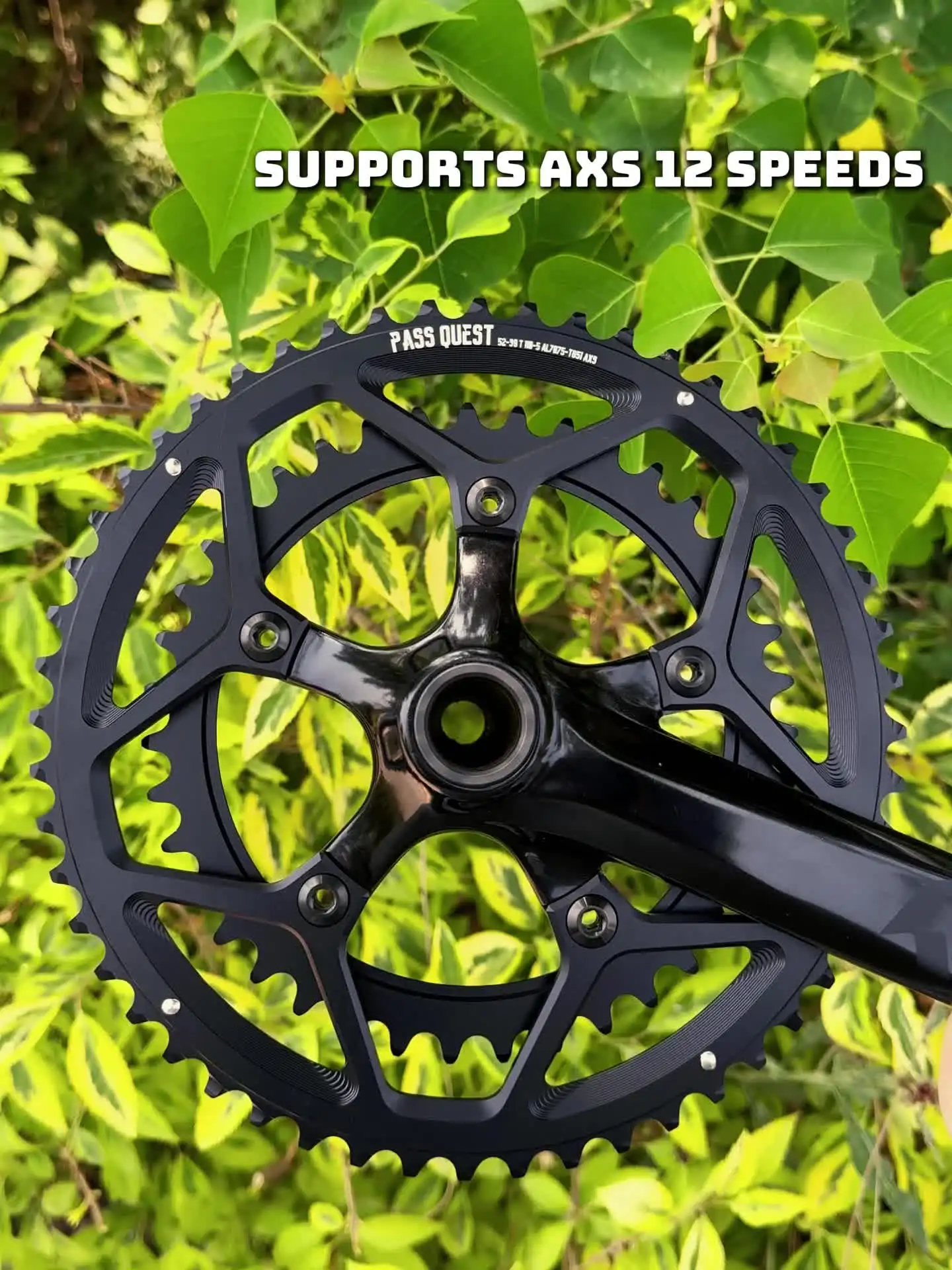 PASS QUEST 110 bcd chainring 5 bolt Narrow wide road bike Chain