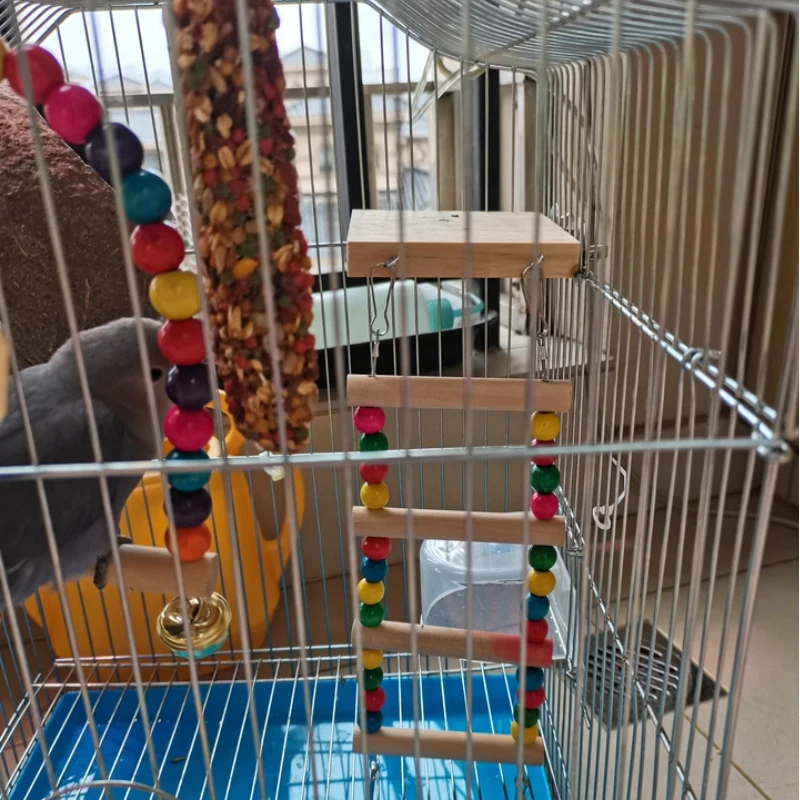 Wood Parrot Toys Bird Toy Cage Bird Accessories Swing Suspension Bridge Ball Cage Bells Pet Supplies Set 4