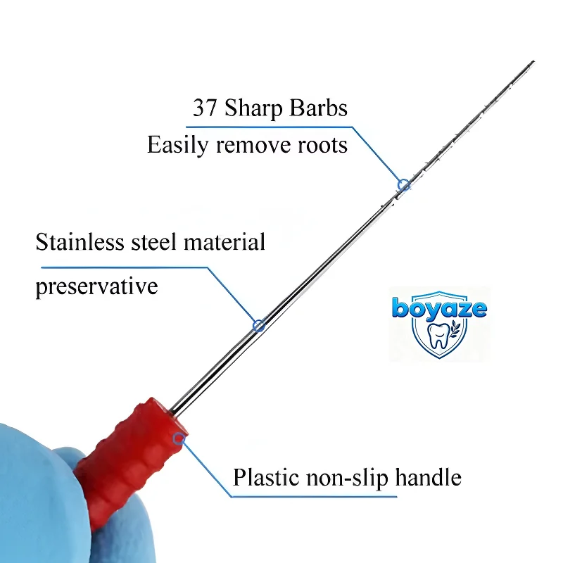 Broches de púas para limpieza Dental, limas de conducto radicular endodoncia, aguja cuadrada suave para herramientas de odontología Endo de 21mm/25mm, 10 cajas