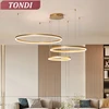 Minimalist Modern Led Chandelier Home Lighting Brushed Rings Ceiling Mounted Chandelier Lighting Hanging Lamp Gold&Black Frame 1
