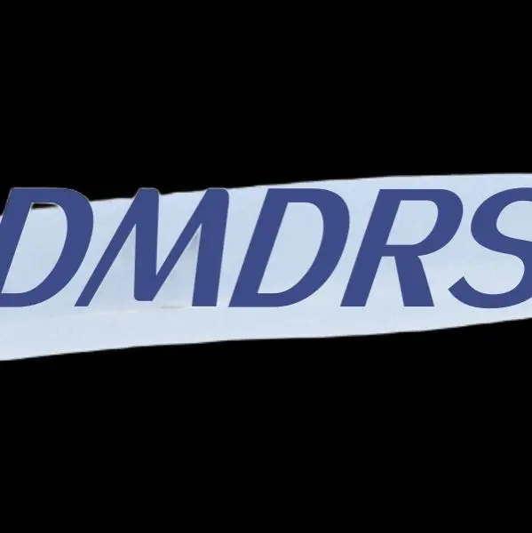 DMDRS Wedding Dress Store