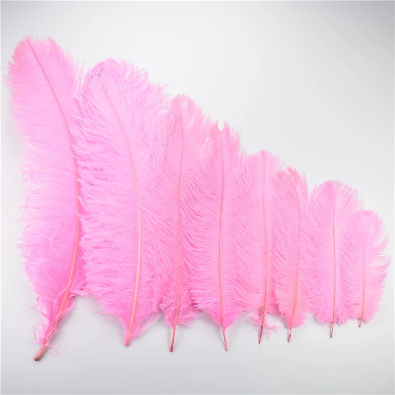 50pcs/lot Pink Ostrich Feather Wedding Background Wall Decorative Feather  Wall Headwear Boutonniere Ostrich Feather Decoration - AliExpress