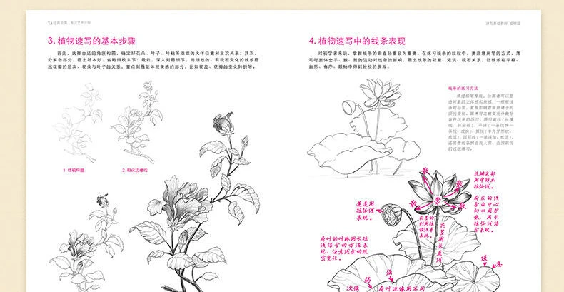 Grundlegende Skizzieren Tutorial Buch Anlage Tier Landschaft Abbildung Gesichts Skizze Lehrbuch Null Basierend Selbst Studie Skizze Geschick Detail Bücher – Detail 14