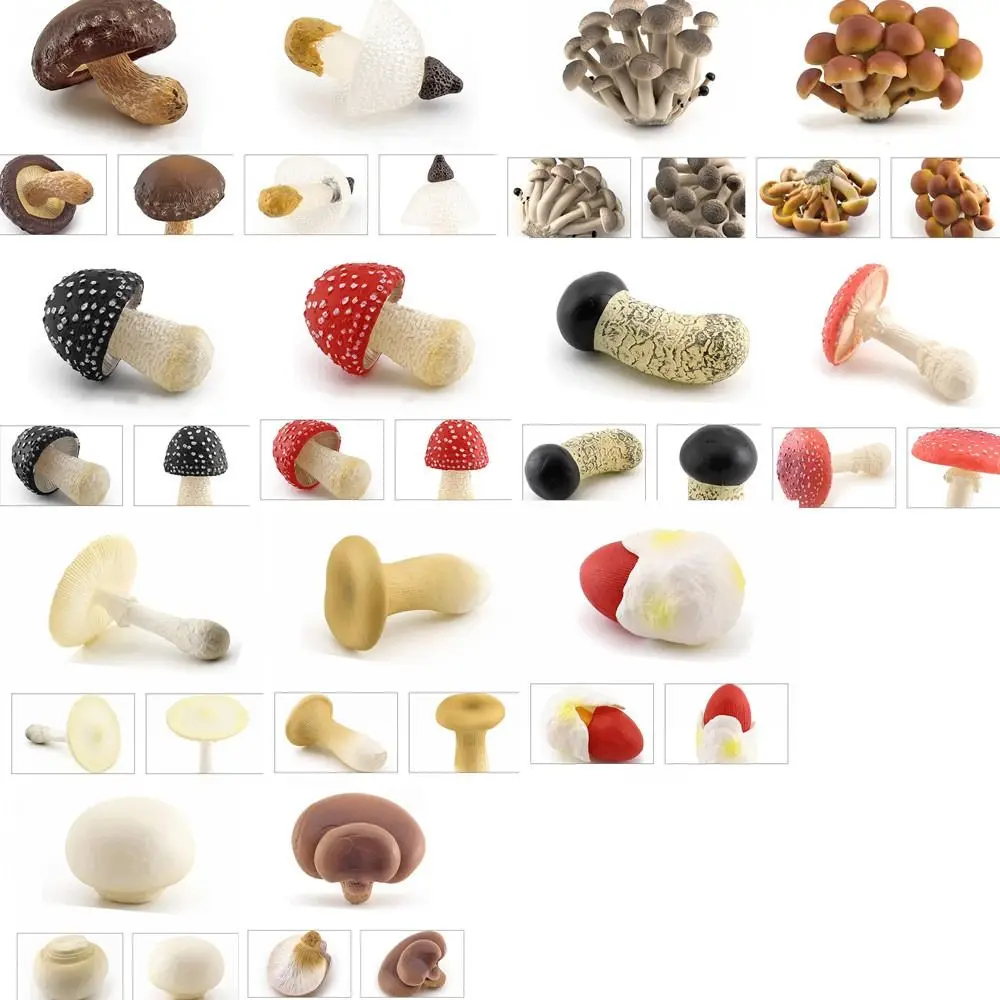 Vegetable Model Fungus Figurines Landscape Miniatures Matsutake Oyste Simulation Mushroom Artificial Plant Fungus Model