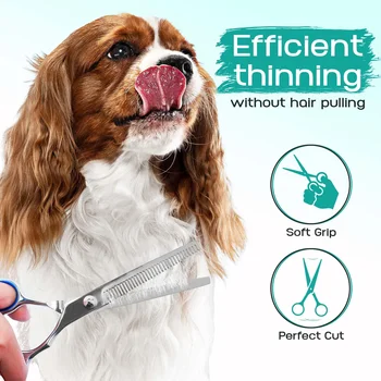 5-in-1 Stainless Steel Pet Grooming Scissors Set 3