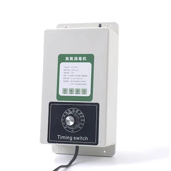물 공기 청정기 오존 발생기, 식품 및 과일 야채 세척기, 오존 발생기, 2000mg, 220V, 110V