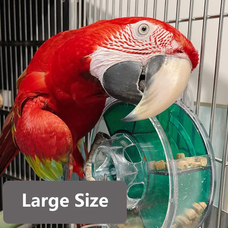 Mangeoire à grande roue rotative pour oiseaux, jouets de train, grande roue  de recherche de nourriture pour grands perroquets, perruche, inséparable
