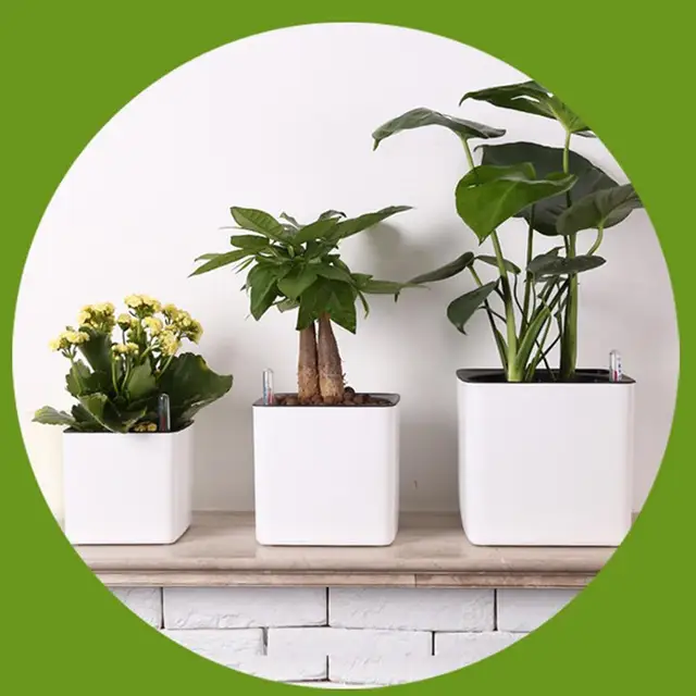 Jardinière blanche à arrosage automatique, indicateur d'eau, Pot de jardinière décoratif moderne pour toutes les plantes de maison, fleurs, herbes, légumes 5