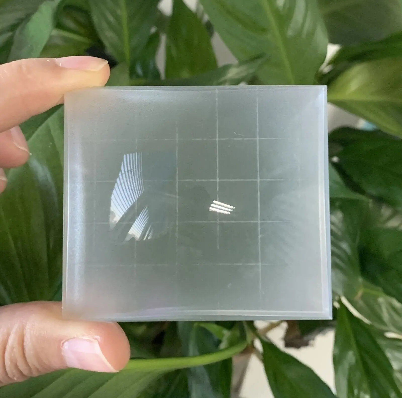 Proscope Bright Screen Rolleiflex 3.5Mx 2.8A 2.8C 2.8D 2.8E Rolleiord Iii,Iv,V,Va Con Griglia 64X56Mm