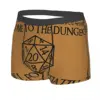 Roll For Initiative Men Boxer Briefs DnD Game Highly Breathable Underpants High Quality Print Shorts Gift Idea 2