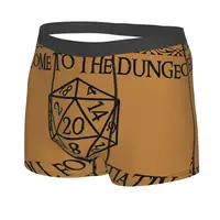Roll For Initiative Men Boxer Briefs DnD Game Highly Breathable Underpants High Quality Print Shorts Gift Idea 2