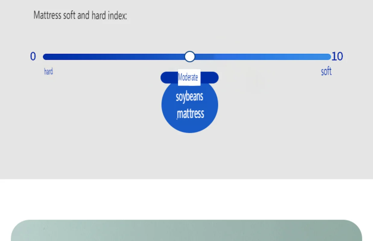 Description Picture 4 of itemDropshipping Customizable Size Mattress Soft Mattress Home Tatami Mat Was The Floor Mat Student ZHA12-9999