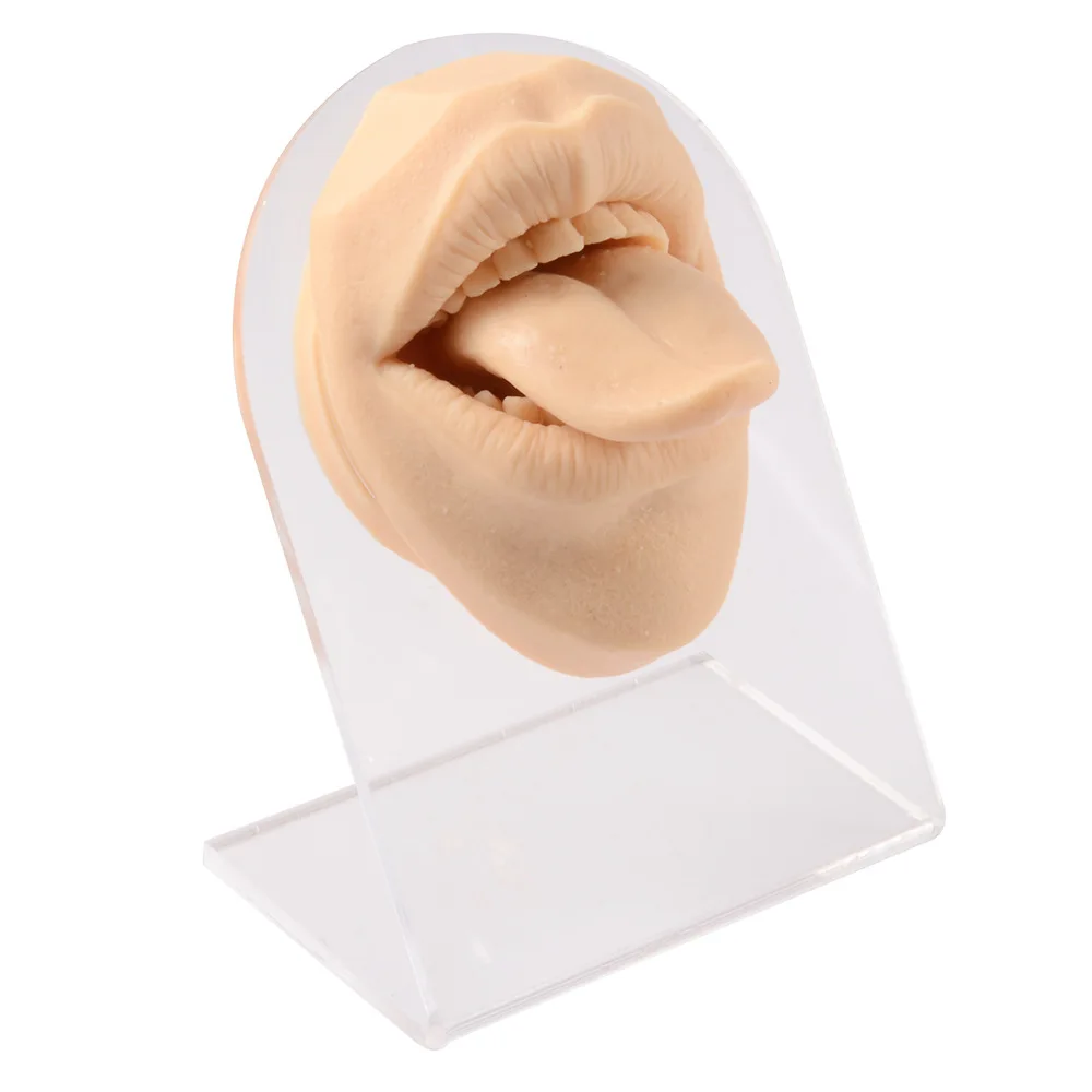 Guemcal Silicone Tongue Model Face Model Mouth Puncture  with Model Lip Nail Tongue Nail Display