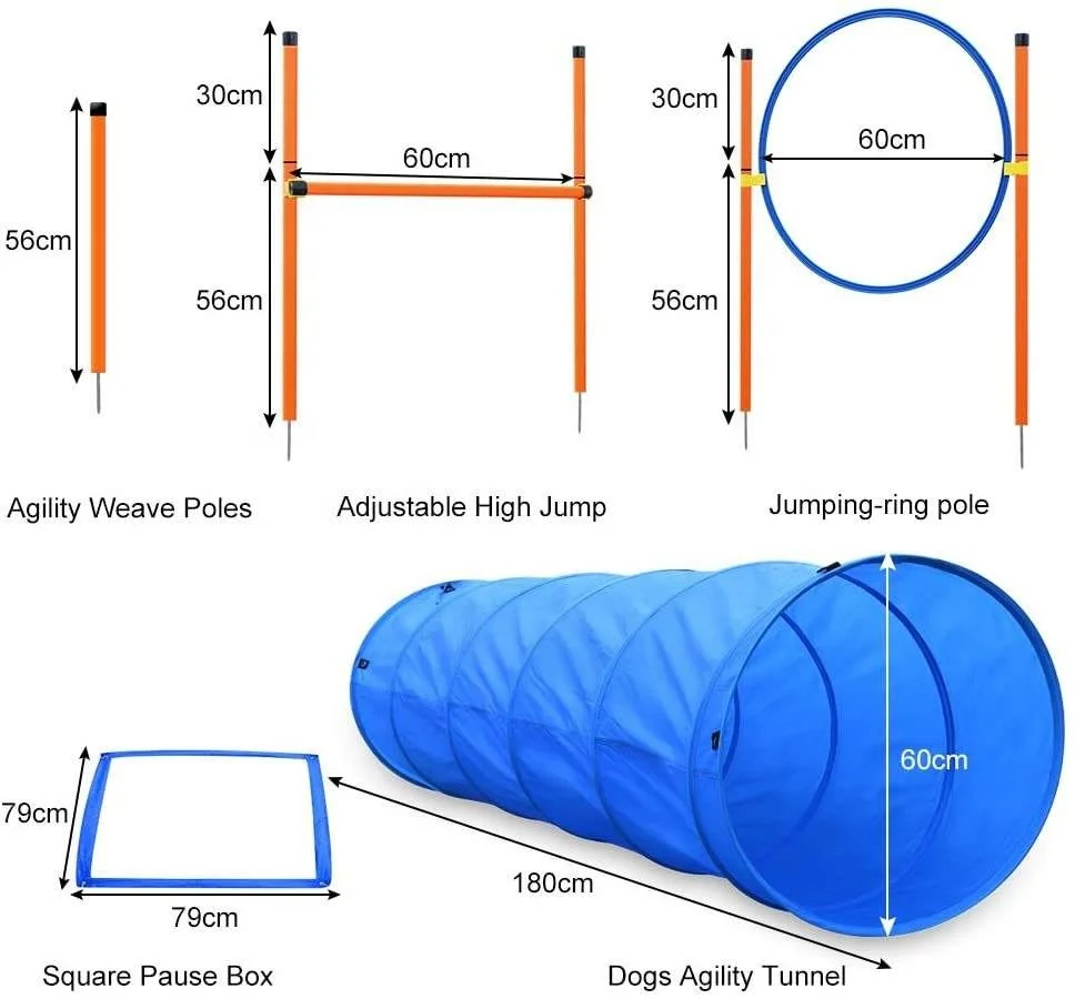

Товары для тренировок на открытом воздухе, оборудование для дрессировки собак, комплект для дрессировки собак