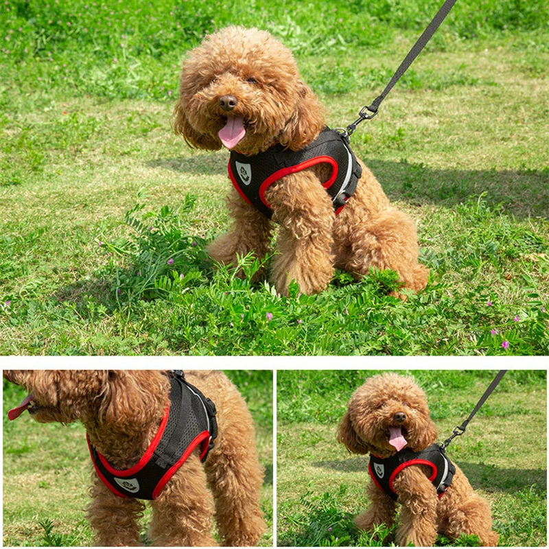 Puppy Dog Harness Leash Rope Set Breathable Summer Mesh Dogs Harness Vest Reflective Pet Cat Chest Straps Chihuahua Yorkies pet harness leash set pet harness set pet leash set