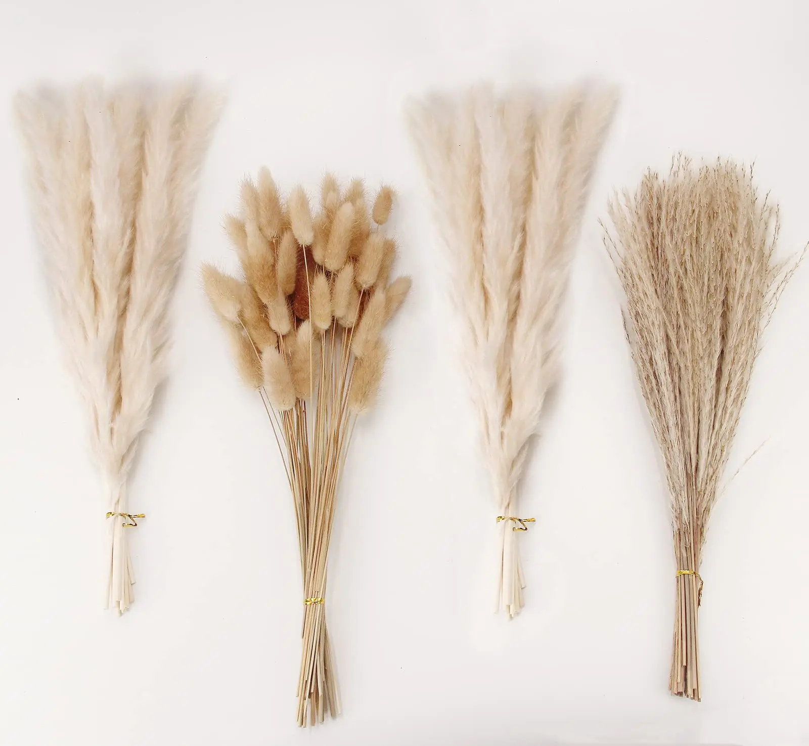 

100PCS Natural Dried White Pampas Grass Bunny Tails Dried Flowers,Reed Bouquet for Rustic Wedding Boho Flowers Home Table Decor