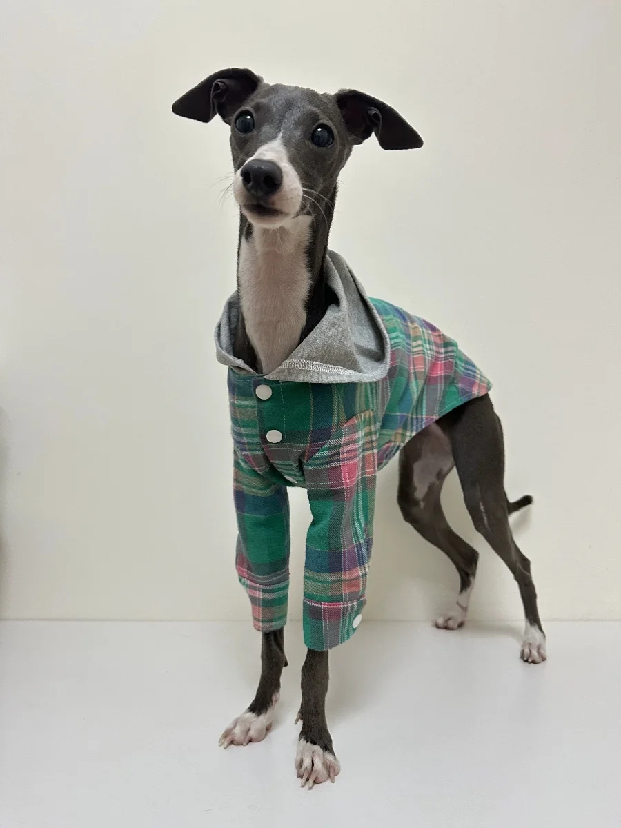 

GreyhoundDog Shirt Striped Leisure Pet Summer Shirt Clothing Fashion Social Casual Pet Shirt Slim Fit Long-Sleeve Dog Shirts Dog