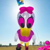9KM 3.5m Duck Kite Line Laundry Kite Pendant Soft Inflatable Show Kite for Kite Festival 30D Ripstop Nylon with Bag 2