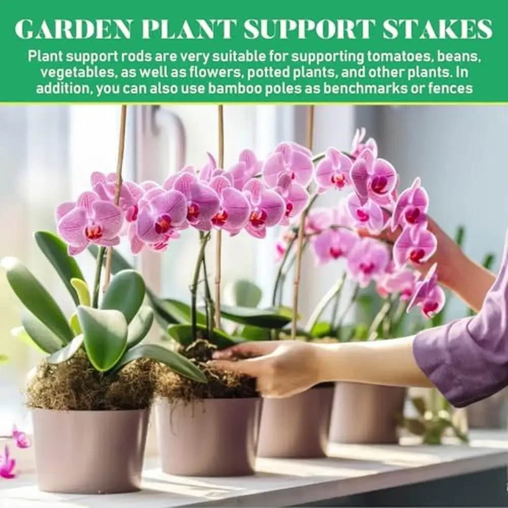 100 Pcs Bamboo Plant Support Stakes Tomato Bean Flowers Trees Indoor Outdoor Garden Sticks Reliable Durable Quality Easy