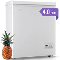 Feet Deep Chest Freezer Freezer with Electronic Display Screen Electronic Thermostat Accurate to Every Degree Adjustable Storage 1