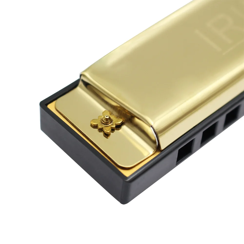 IRIN 10 Holes G Key 20 Tone Harmonica Colorful Blues Harmonica Good Quality Woodwind Instrument Suitable for Beginners Teaching