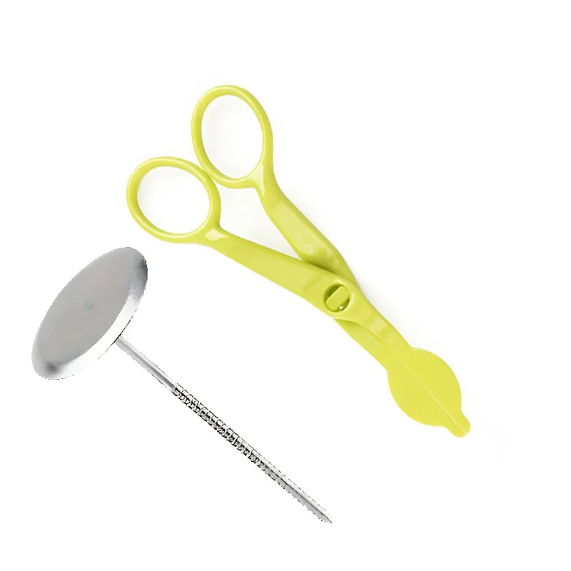 9-teiliges russisches Spritzspitzen-Set – 7 Blumendüsen mit Kuchenblumenschere und Nägel – professionelle DIY-Schmettercreme-Dekorationswerkzeuge – Detail 24