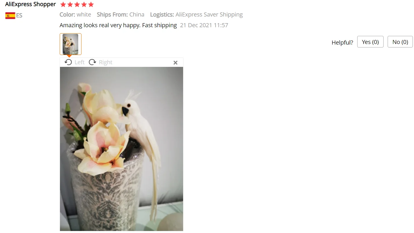 Description Picture 4 of item25cm Handmade Simulation Parrot Creative Feather Lawn Figurine Ornament Animal Bird Garden Prop Decoration 12/13/14/15/16CM