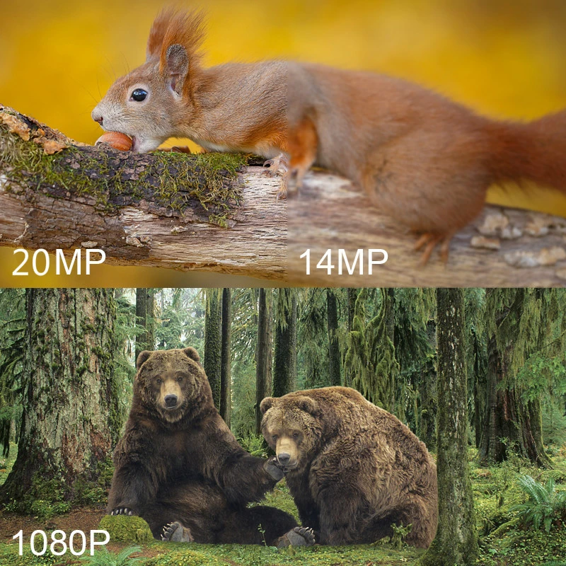 

Мини-фотоловушка для охоты, 20 МП, 1080P