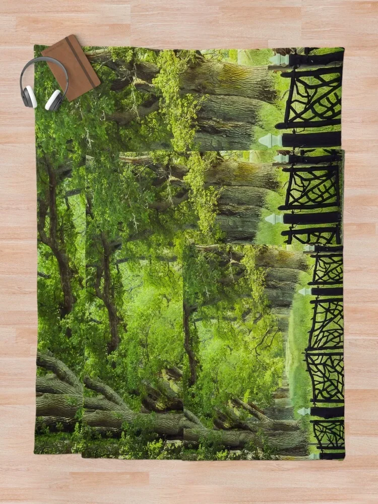 ���Ÿ� �귣�� ������ ���� ���, ��ũ ���� ���, ���� ������ ���