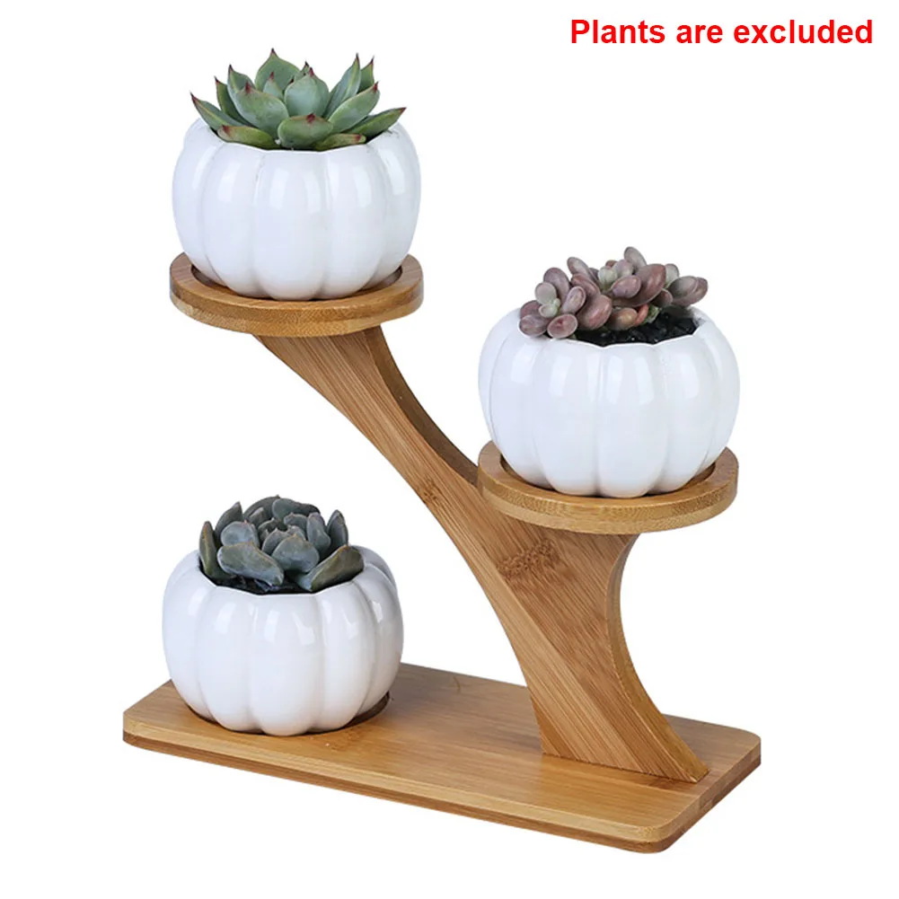 3 Tier Home Pumpkin Succulent Pots Office Desk Planter Garden Mini Bamboo Stand Set With Drainage Modern Indoor Wear Resistant | Дом и сад