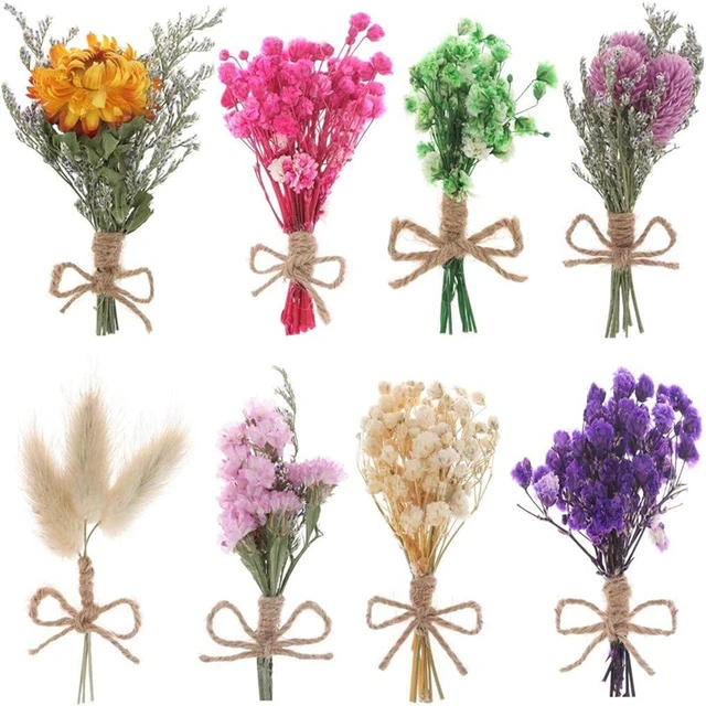 Preserve Dried Flowers Resin  Preserving Dried Flowers Resin - Diy Dried  Flowers - Aliexpress