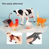 13PCS Children's Simulated Animal Model Toy Set Elephant Gorilla Tiger Lion Hippo Panda Farm Small Animal Toys with Picture Book 4