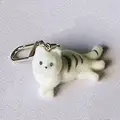 Lying down cat