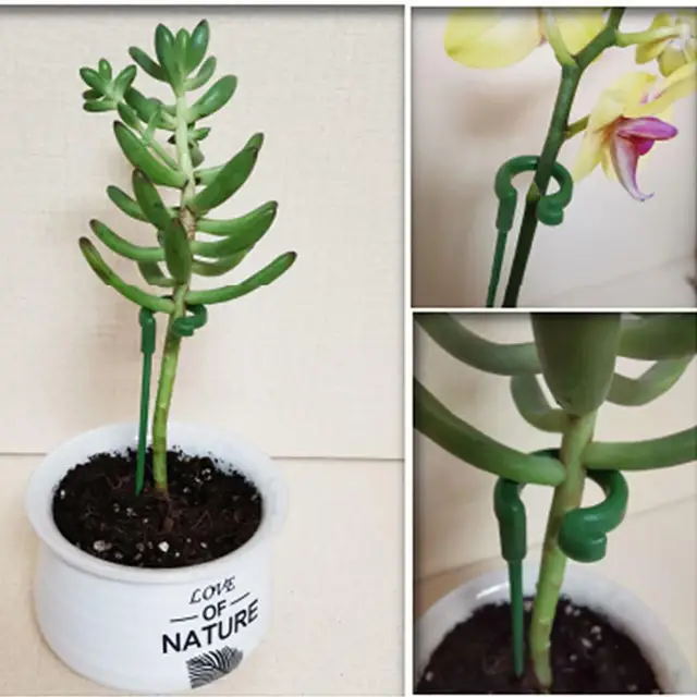Kerti Növényi Tartó Ketrec Plie Műanyag Félkör Zöld Ház Orchard Rögzítő Rúd Kertészet Bonsai Virágállvány Szerszám - Image 4