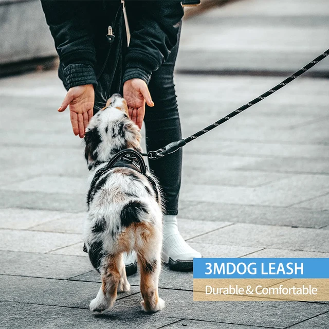 300cm Nylon Reflective Pet TractionRope Small medium-sizedmulti-color Circular tractionrope comfort handle dog leash Pet Product 2