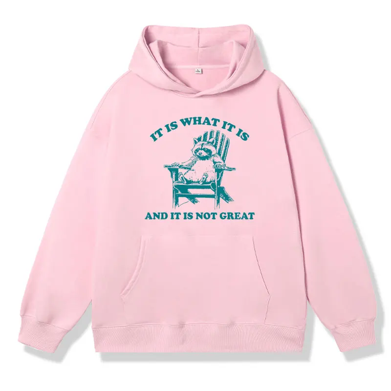 Lt Ls What It Ls and It Ls Not Great Funny Raccoon Graphic Hoodie Men's Autumn and Winter Fashion Oversized Sweatshirt Pullover
