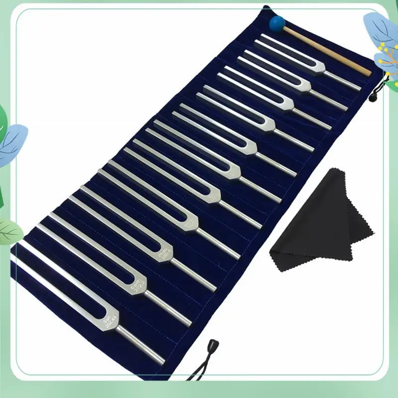 SYDS Tuning Fork Set, 11 Tuning Forks For Healing, Sound Therapy, With Silicone Hammer Cleaning Cloth And Bag