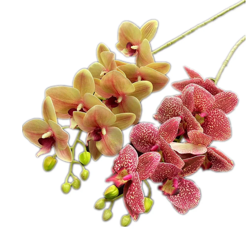 One Real Touch Butterfly Orchid Flower Branch Seven Heads Artificial Moth Phalaenopsis Orchid