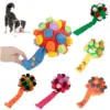 Dog Sniffing Ball Innovative Pet Shaking Training Toys for Pet Training Tooth Cleaning Puppy Chew Relieve Boredom Dog Toy 1