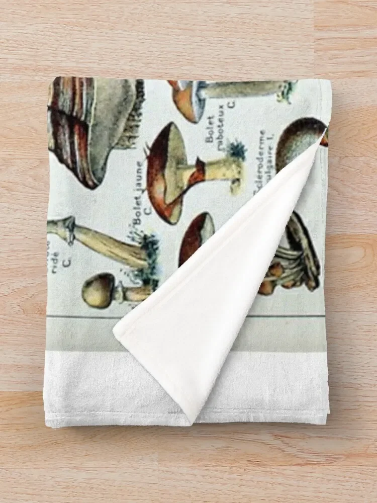 ��Ƽ�� ���� ������ ������ ���, ������ ��� �� ħ�� Ŀ�� ���, ����Ʈ ����