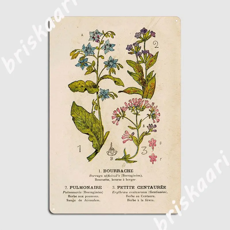 Borage + Pulmo + Centauria Targhe In Metallo Club Party Pub Garage Design Tin Sign Poster