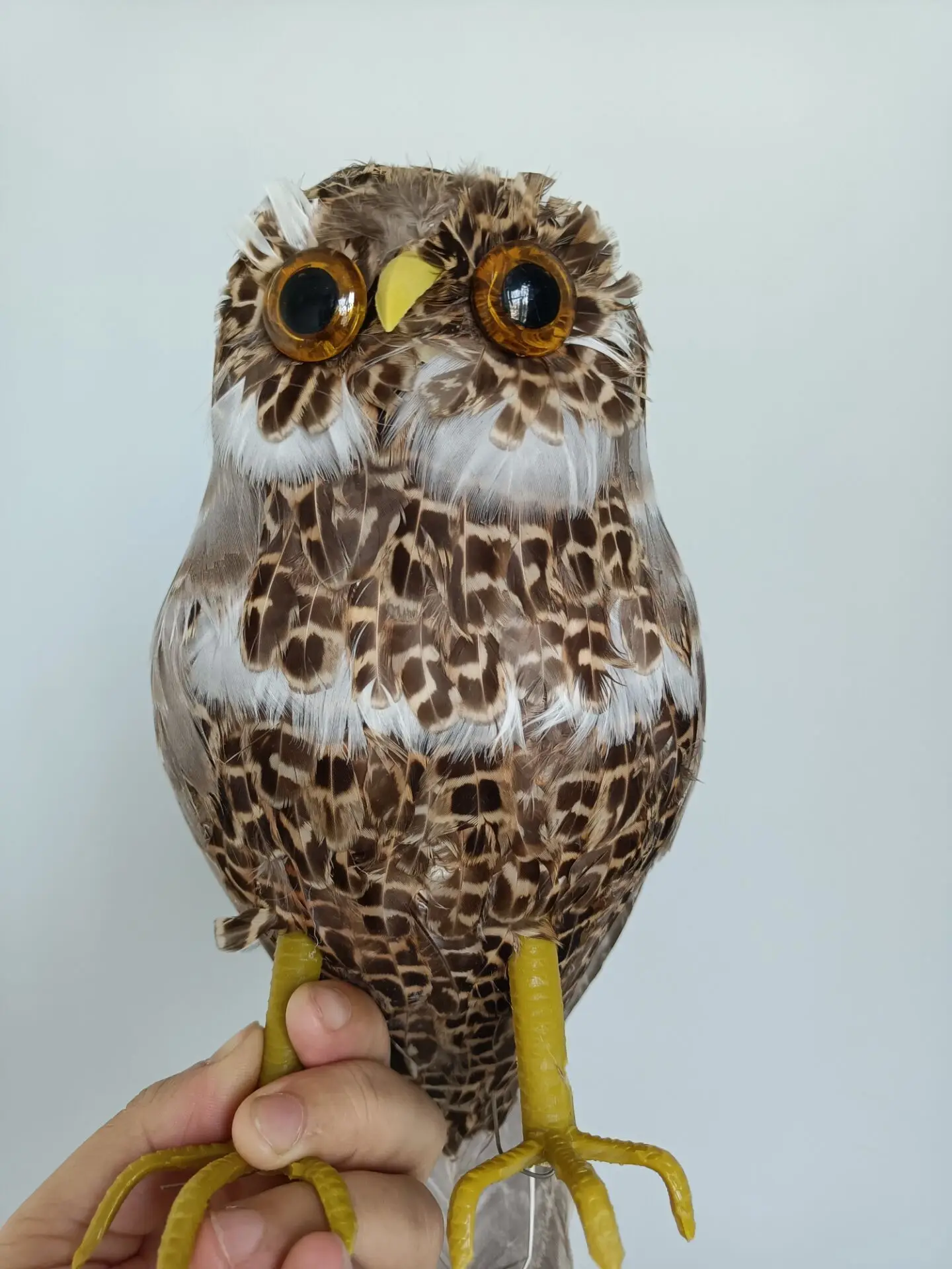 

new real life owl model foam&feather brown owl bird garden decoration gift about 25cm xf2850