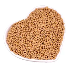 

Bai Jie Zi White Mustard Fruit Semen Sinapis