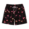 Funny Fruit Banana 3d Print Beach Shorts Men Plant Flamingo Graphic Short Pants Women Kid Outdoor Sports Surf Board Swim Trunks 6
